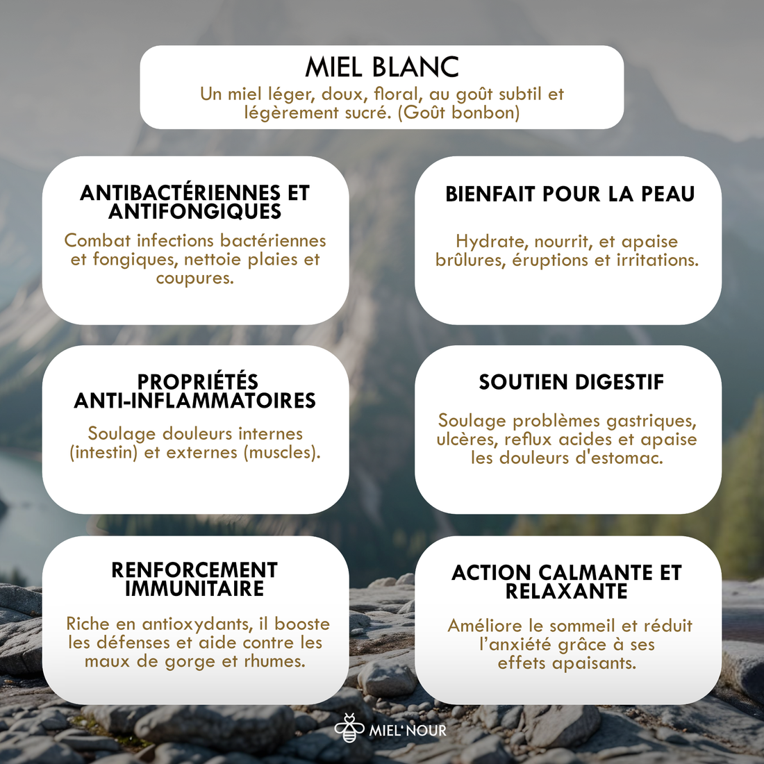 MIEL BLANC | 250G